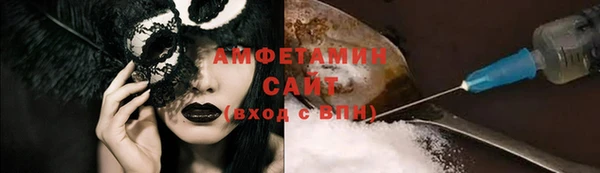 прущие грибы Бердск