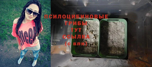 MESCALINE Михайловск